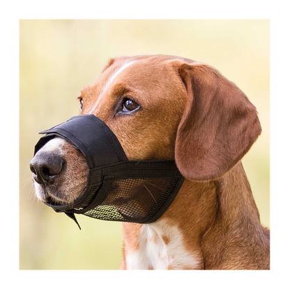 Nylonmunding med net