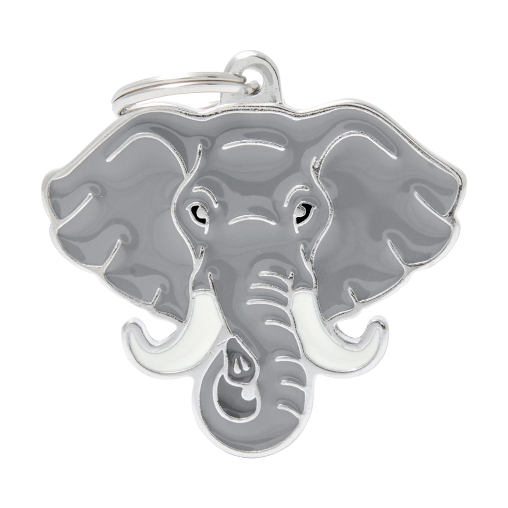 My Family Wild elefant