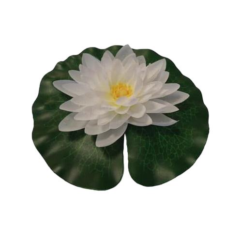 Näckros Vit - 20 CM | Endast 99 kr! - Zoogiganten