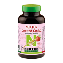 Nektion Crested Gecko Jordgubbe - 100 G