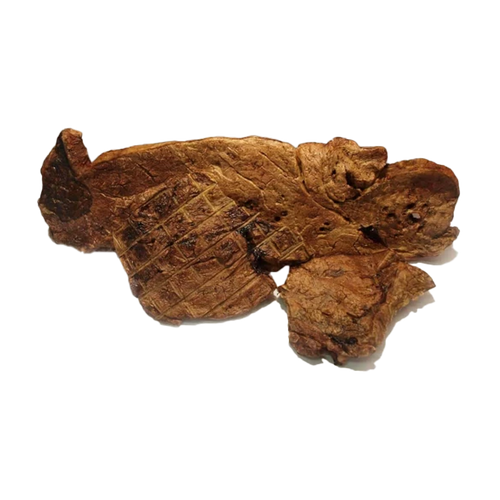 Lungemøtrik