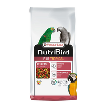Nutribird P15 Tropical | Endast 219 kr! - Zoogiganten