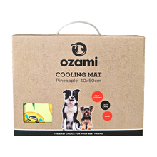 Ozami Kylplatta Pineapple - 40X50 CM | Endast 129 kr! - Zoogiganten
