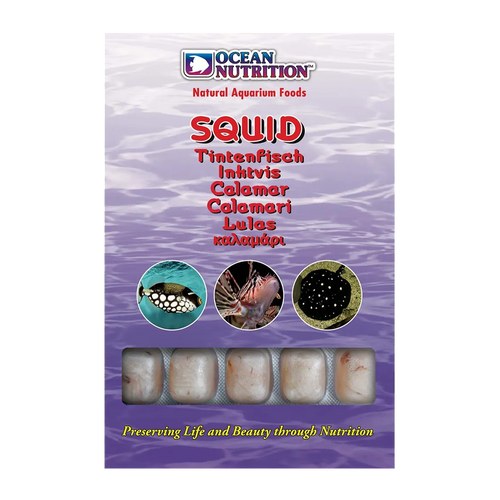 Ocean Nutrition Squid - 100 G | Endast 49 kr! - Zoogiganten