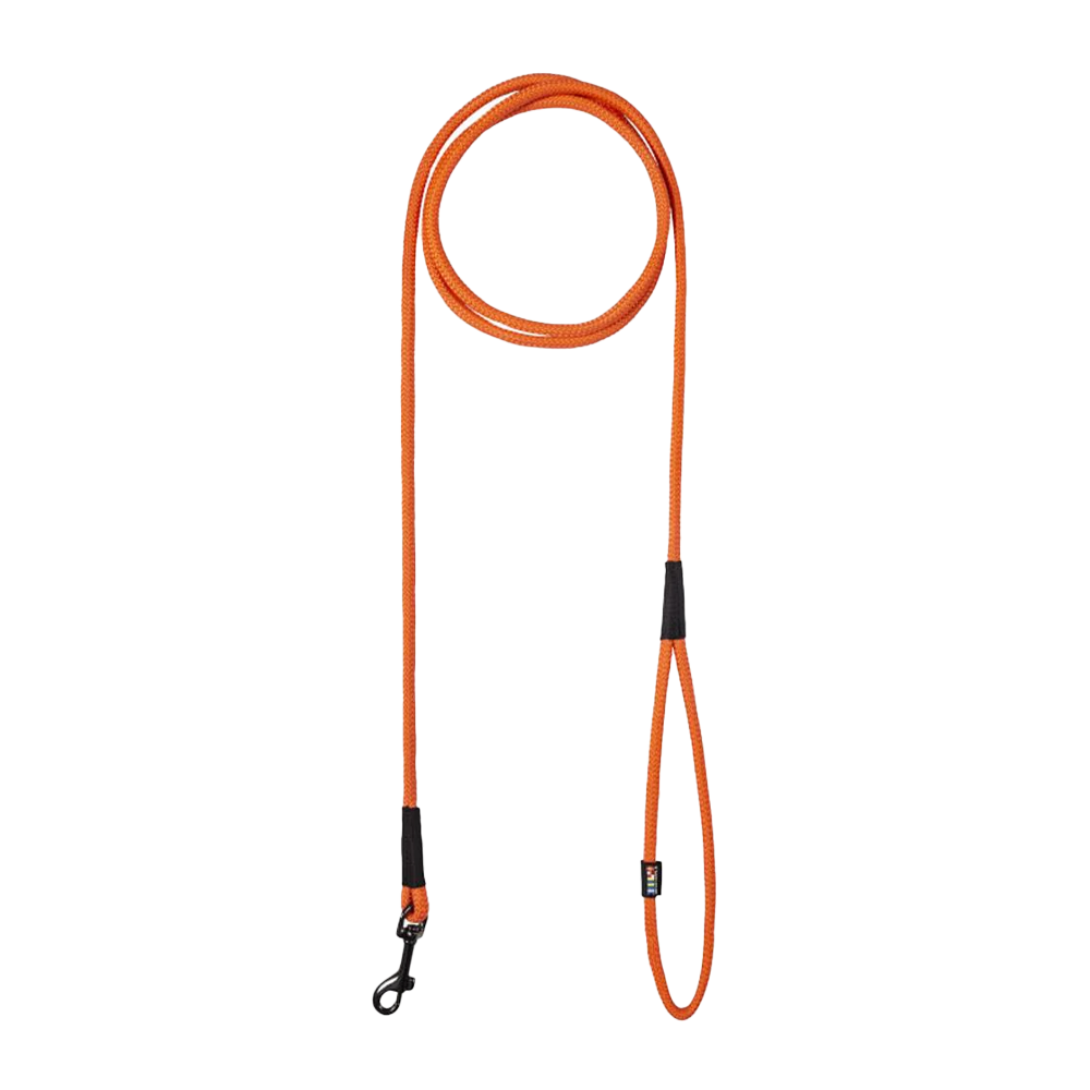 Swim Leash Orange