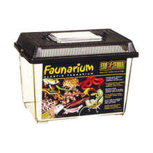 Plast Terrarium Small - 23X15.3X16.5 CM | Endast 119 kr! - Zoogiganten