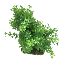 Bøjelig plastikplante