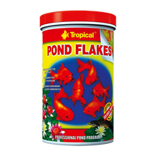 Tropical Pond Flakes - 1000ML/145G | Endast 119 kr! - Zoogiganten
