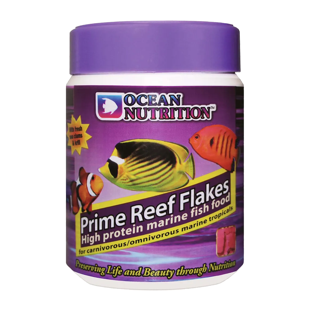 Prime Reef Flake | Endast 79 kr! - Zoogiganten