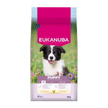 Euk Hundehvalp Mellem - 15 KG