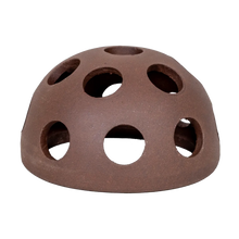 Räkgrotta Kupol - 5.8X3.7 CM | Endast 49 kr! - Zoogiganten