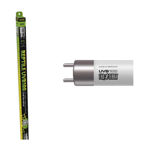 Reptile UVB100 T5 UVA/UVB - 8 WATT