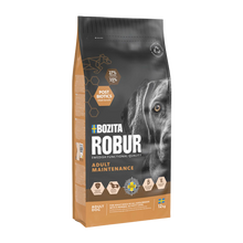 Bozita Robur Voksenvedligeholdelse