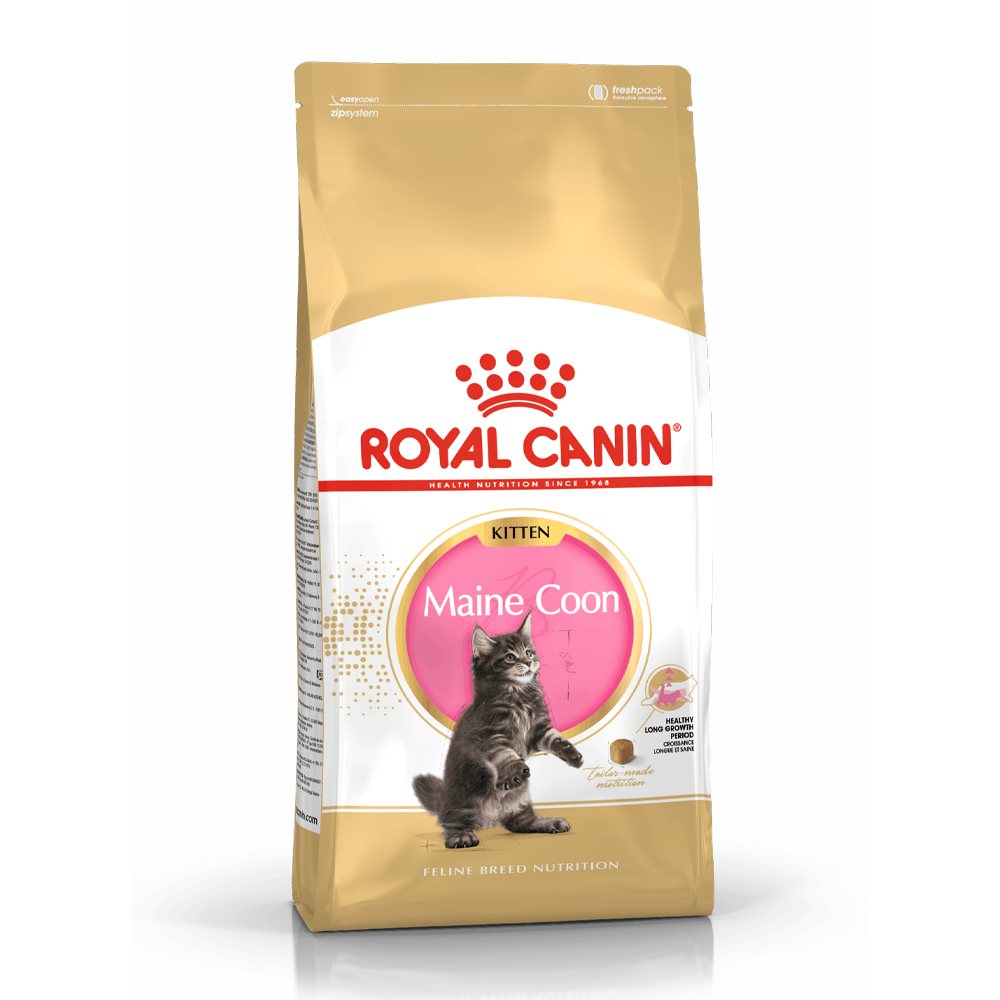 Royal Canin Maine Coon Kitten - 4 KG | Endast 769 kr! - Zoogiganten
