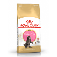Royal Canin Maine Coon Kitten - 4 KG | Endast 769 kr! - Zoogiganten