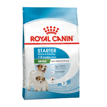Royal Canin Mini Starter - 8 KG | Endast 789 kr! - Zoogiganten