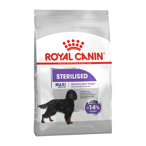 Royal Canin Sterilied Maxi - 12 KG | Endast 969 kr! - Zoogiganten