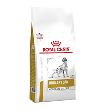 Royal Canin Urinary S/O Moderate Calorie - 6.5 KG | Endast 739 kr! - Zoogiganten