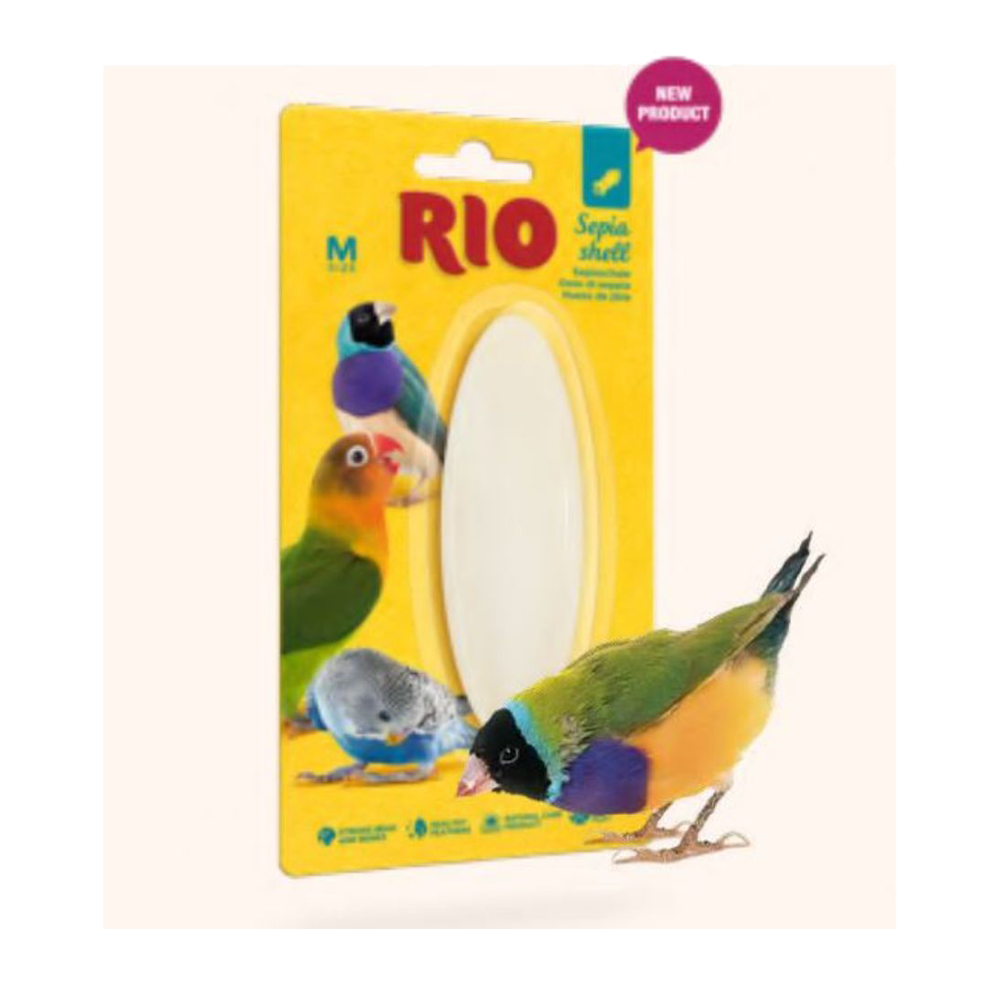 RIO Sepia Skal - M | Endast 59 kr! - Zoogiganten