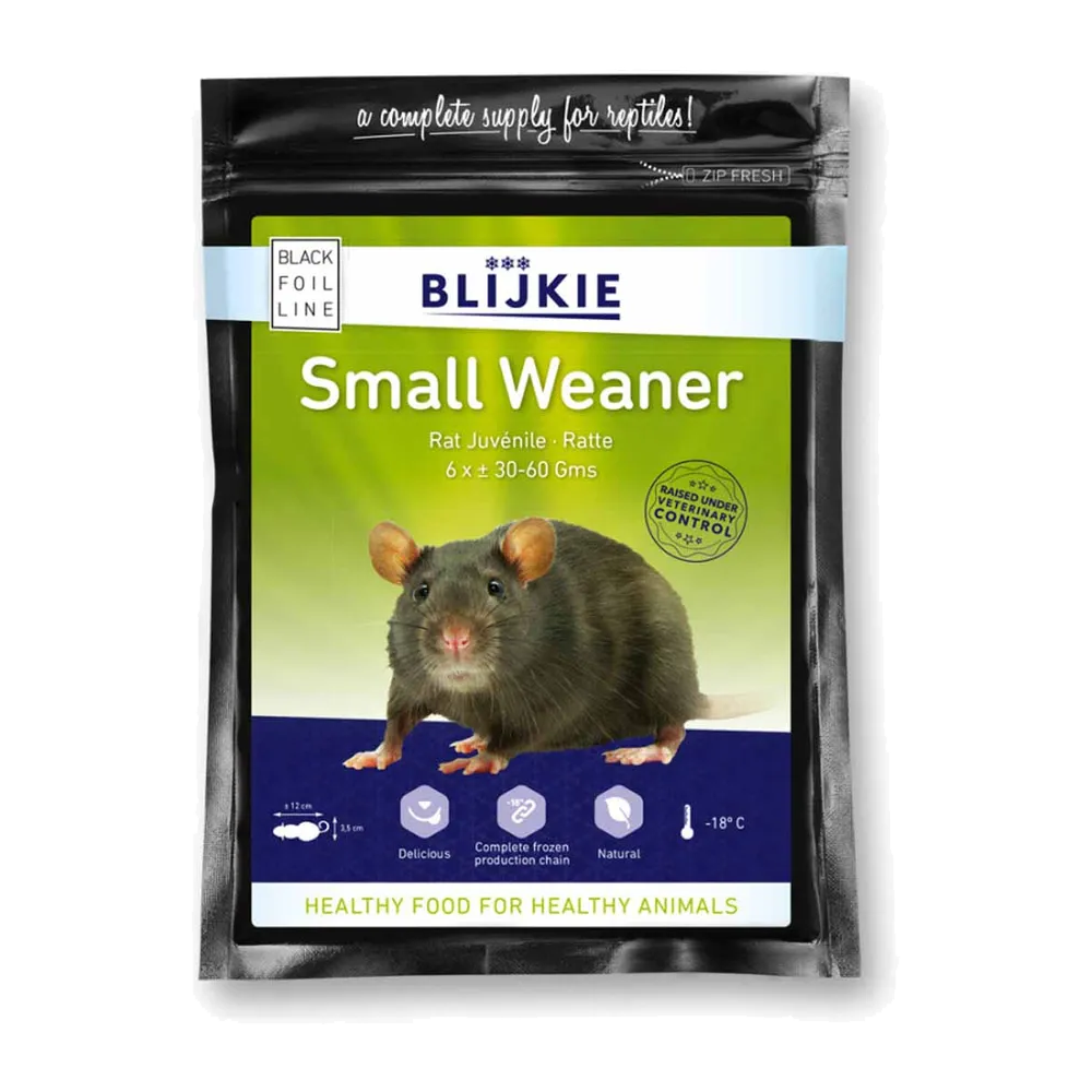 Small Weaner Rat 30-60G - 6 Pack | Endast 229 kr! - Zoogiganten