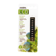 Termometer LCD blisterskala 22-30