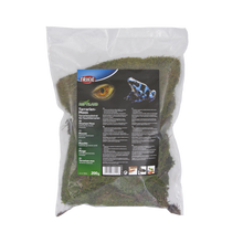 Terrariemossa fuktbevarande - 200 G | Endast 159 kr! - Zoogiganten