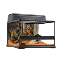 Terrarium Exoterra S Low - 45X45X30 CM | Endast 1999 kr! - Zoogiganten