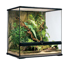 Terrarium Exoterra M Tall - 60X45X60 CM | Endast 3449 kr! - Zoogiganten
