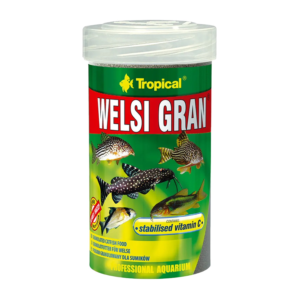 Tropical Welsi Gran - 55 G | Endast 69 kr! - Zoogiganten