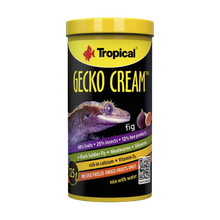 Tropical Gecko Cream Fig - 100 ML