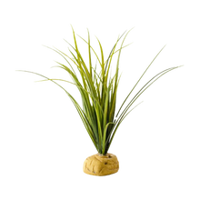 Exoterra Sköldpadda Gräs | Endast 159 kr! - Zoogiganten