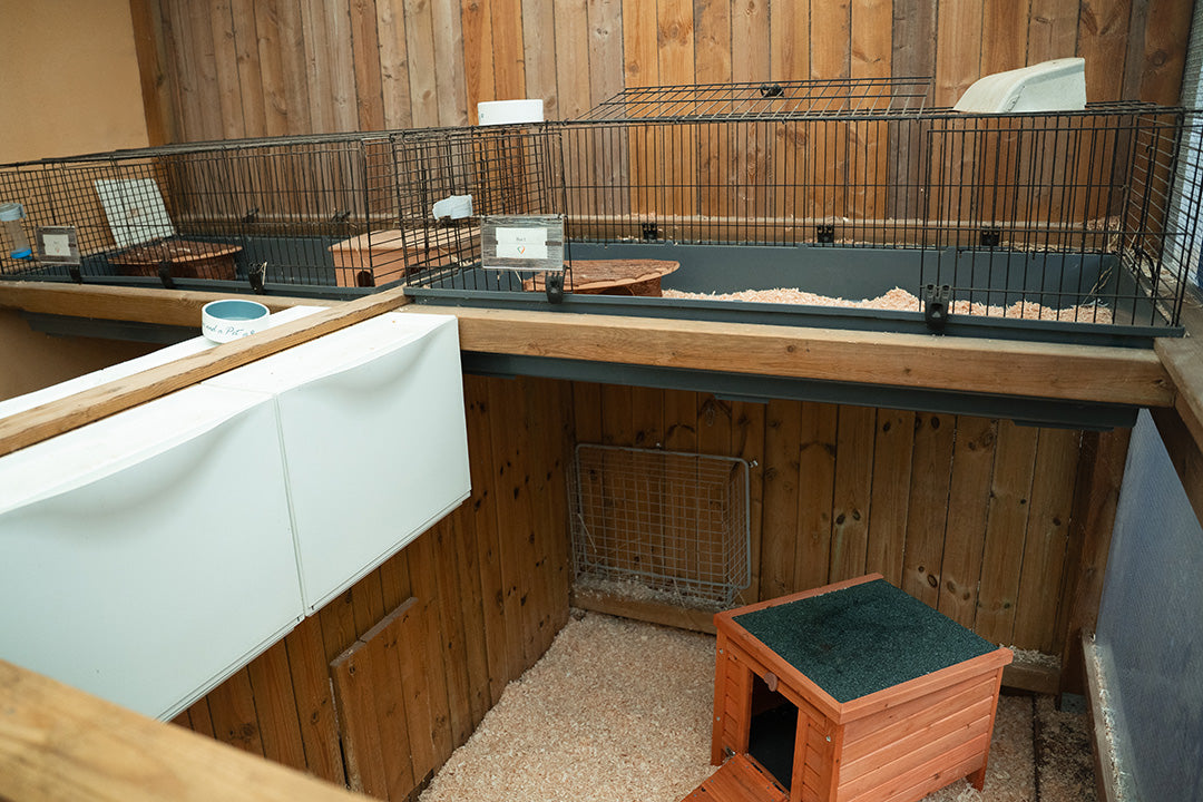 HOTEL - UDENDØRS LEGEPLADS TIL KANINER OG MARSVIN / DAG