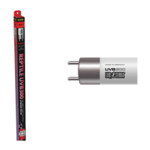 Reptile UVB300 T5 UVA/UVB - 8 WATT