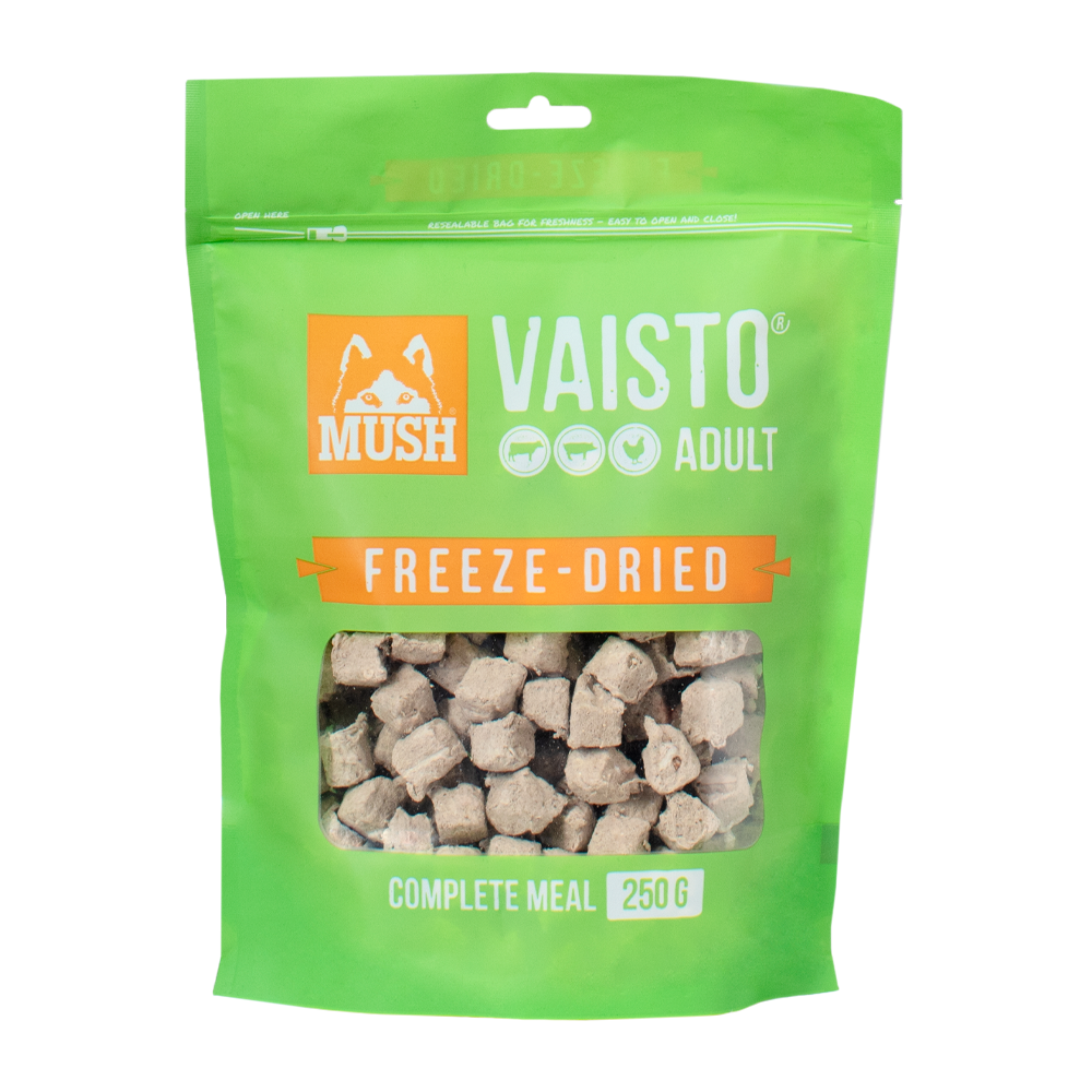 Frysetørret grøn svampe fra Vaisto