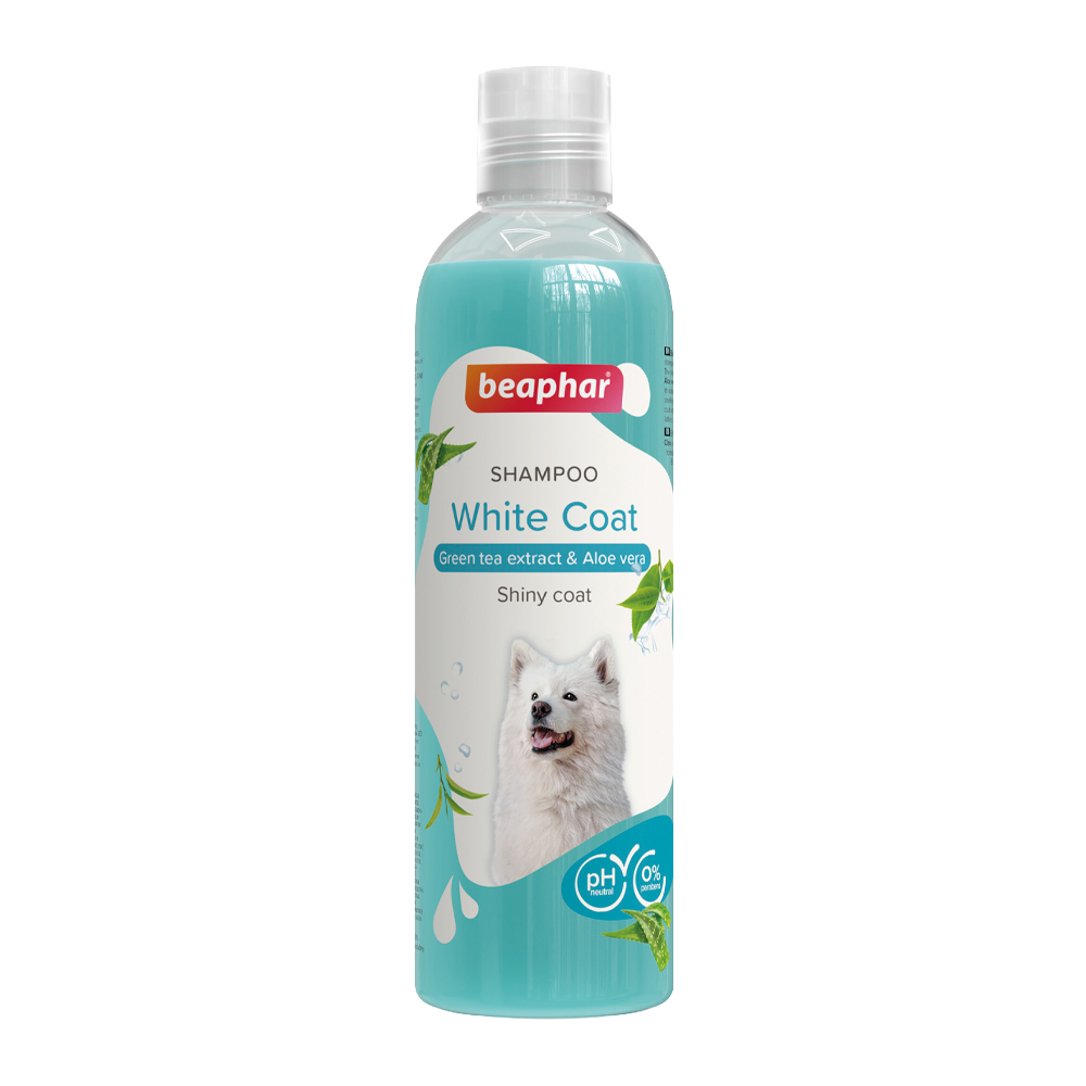 Hvid Shampoo - 250 ml